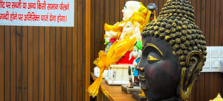 Radha Palace图片