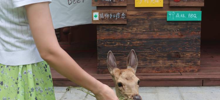 深圳马峦山语民宿图片