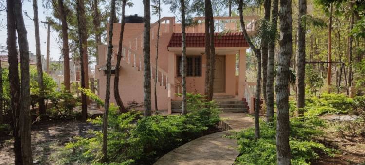 The Cabin图片