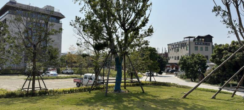 厦门聚泉缘92民宿图片