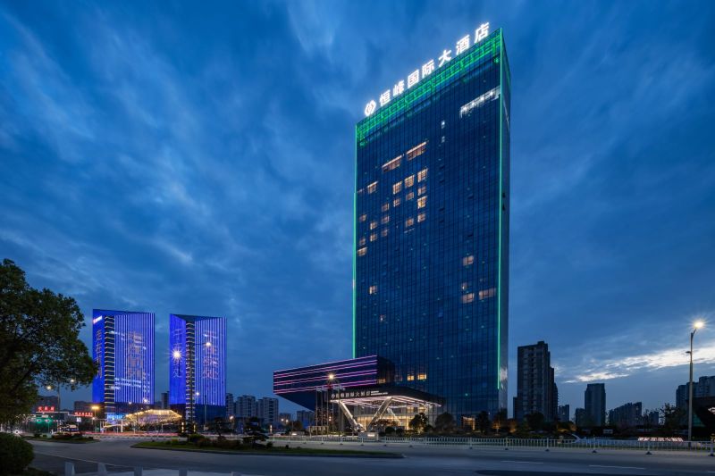 Dongtai Hengfeng International HotelOver view