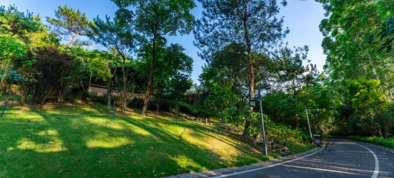 广州北迹露营1号营地图片