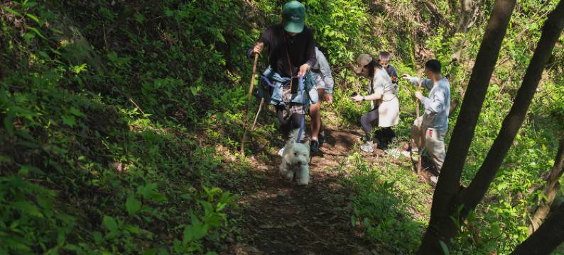 万石坞露营公园图片