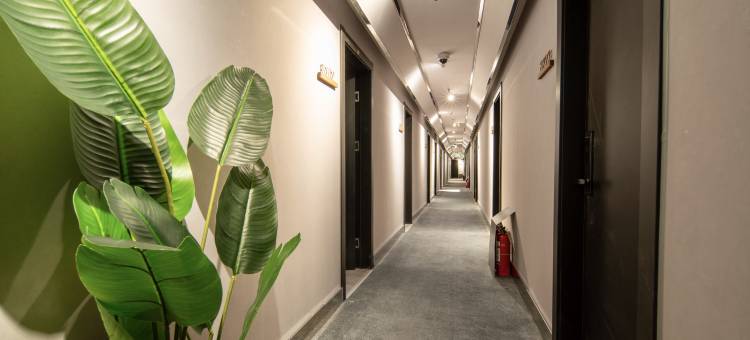 一间森林酒店(上海交通大学延安西路地铁站店)图片