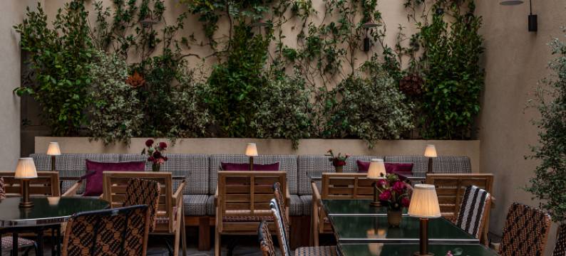 巴黎香榭丽舍大道诺曼酒店(Norman Paris Hôtel & Spa)图片