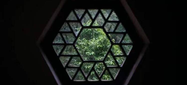 重庆桃花源山庄图片