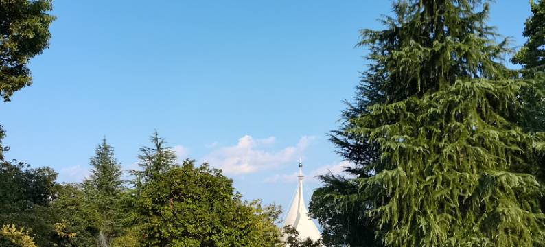 千岛湖一隅湖景民宿图片