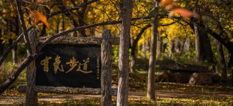 鞍山汤岗子温泉-汤佳温泉度假酒店图片
