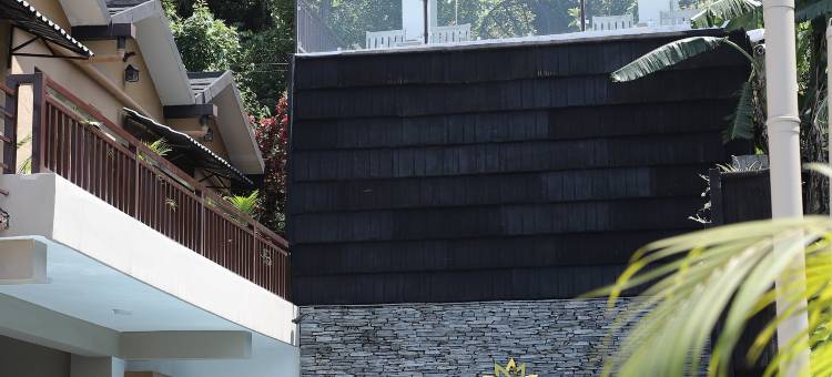 波克哈拉精品酒店(Pokhara Boutique Hotel)图片