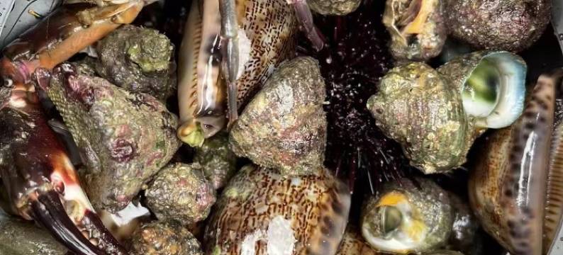 惠东巽寮湾怡景假日海景度假酒店图片