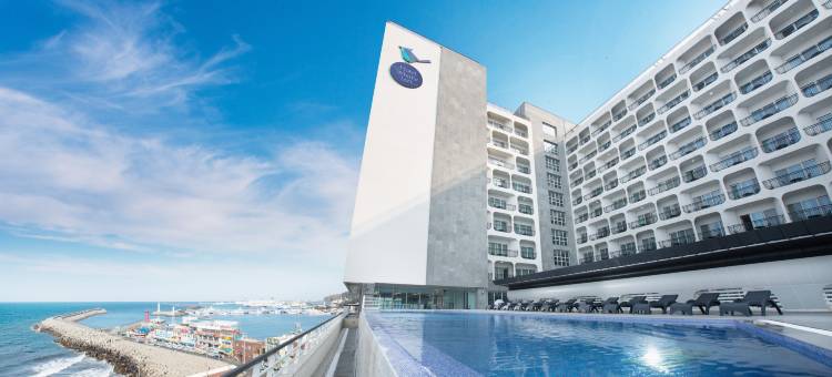 口哨云雀酒店济州(Hotel Whistlelark Jeju)图片
