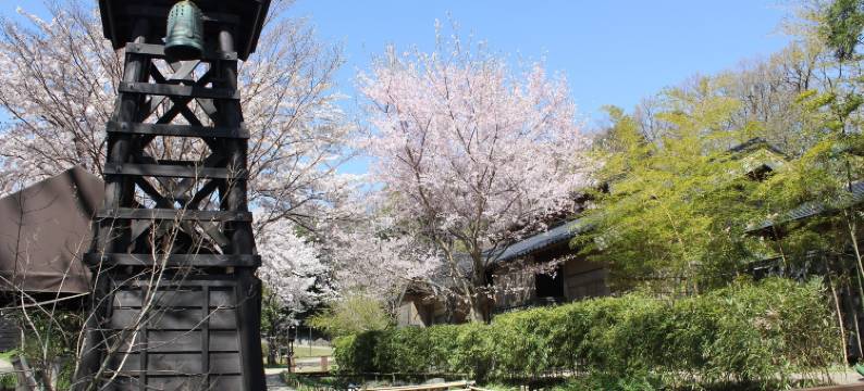 基拉之乡酒店(Mori no yu Kira No Sato 【Reopening on December 22, 2025】)图片