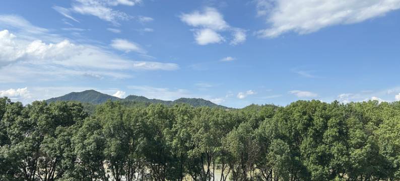 状元及第民宿(流坑古村店)图片