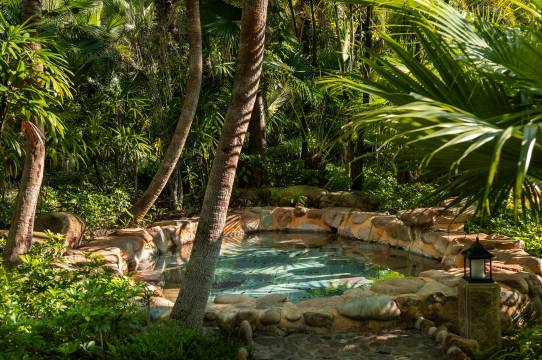 龙岩天子温泉旅游度假区(珑泊湾大酒店)图片