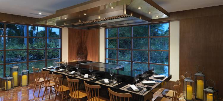 蓬塔卡纳美利亚海滩度假酒店(Melia Punta Cana Beach)图片