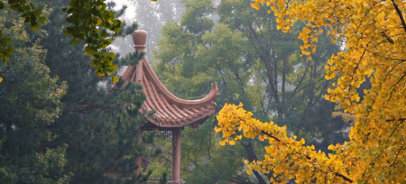 北京唐韵会议中心图片