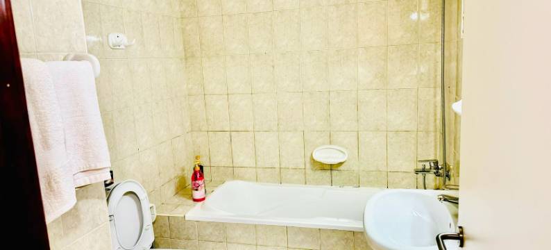 迪拜龙城鲁公馆酒店式公寓((DUBAI) LU-INN)图片