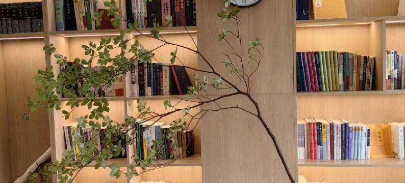 莫干山翠竹园·天真疗愈度假民宿图片