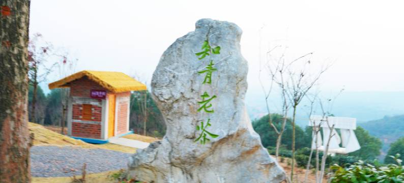 云季中央酒店(澧县万达广场店)图片