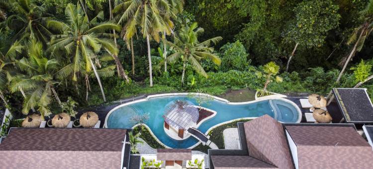 莲韵别墅(Villa Teratai by BaliSuperHost)图片