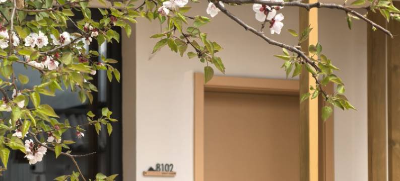 三毛·青禾民宿图片