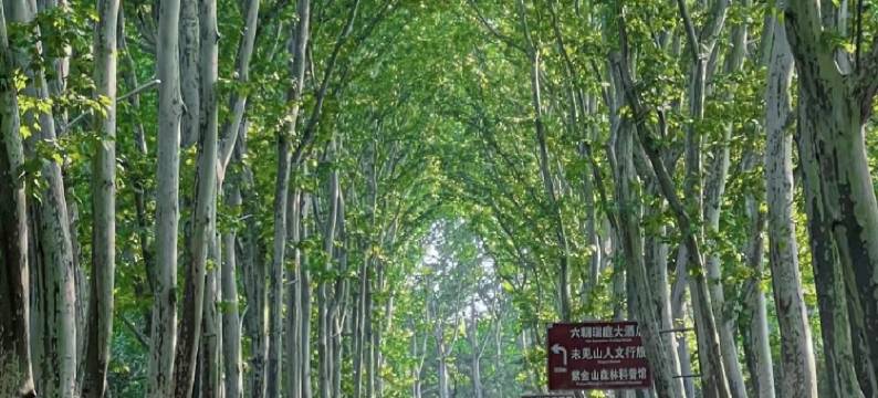 元庭Design House民宿(南京新街口店)图片