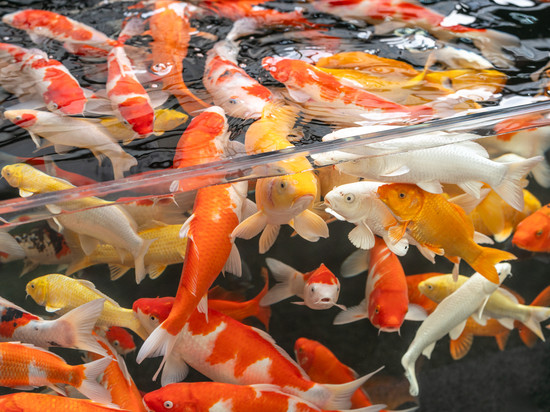 漫季▪蓝钻丨ROMANTICSEASONBLUEHOTEL酒店(沈阳青年大街地铁站店)