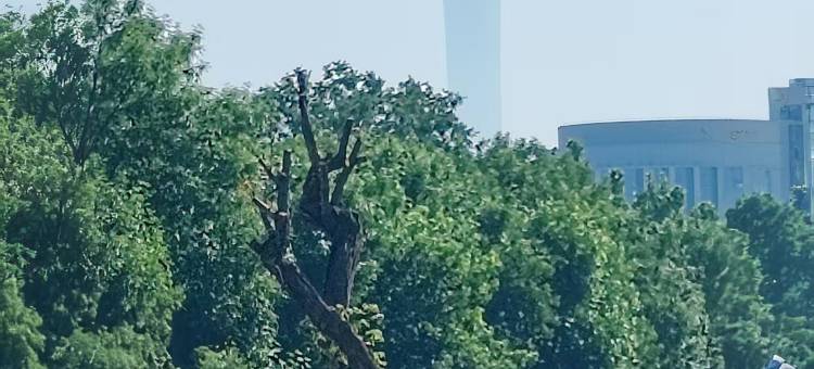 如家华驿酒店(北京前门友谊医院店)图片