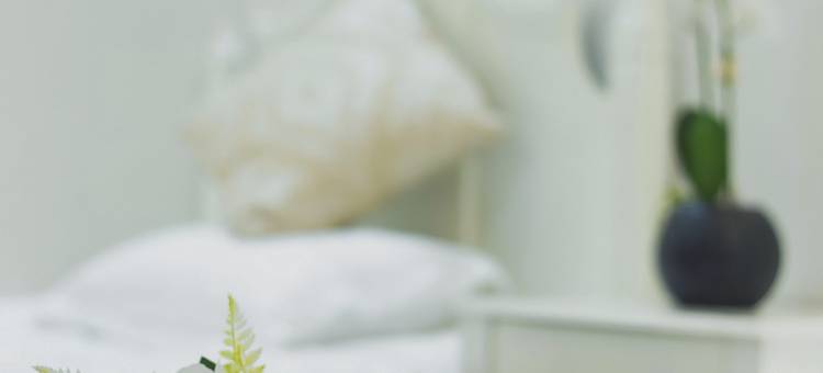 春风客栈(chun feng hotel)图片