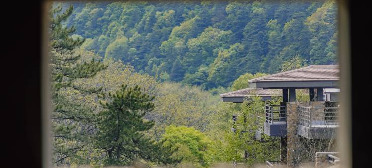 太岳森林康养·林溪松居图片