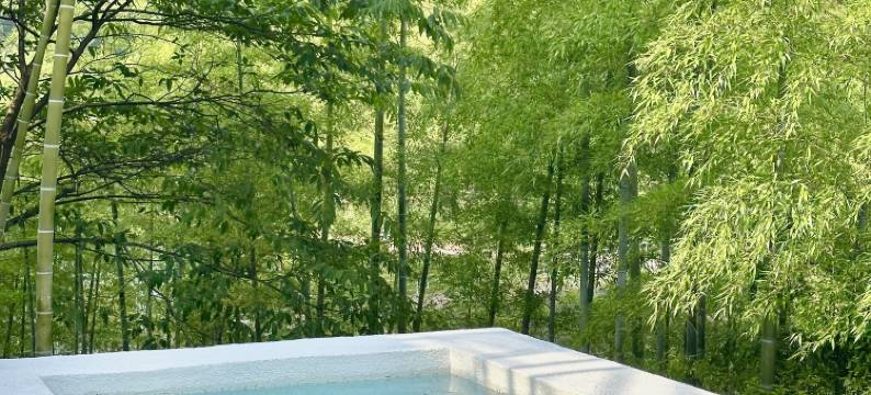 曼途木兮·云端竹海温泉度假民宿(安吉江南天池店)图片