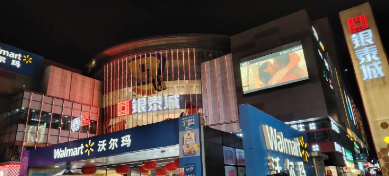 平阳向日葵民宿图片