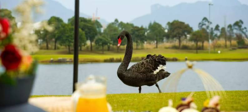 水岸帝景民宿(晴岚景区店)图片