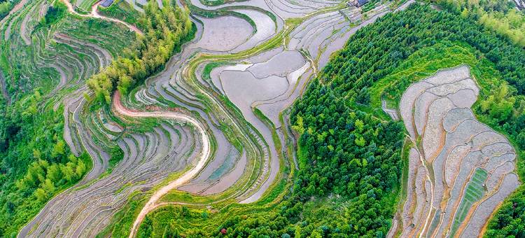 遂川桃源梯田洞穴酒店图片