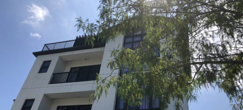 双黄蛋生活空间图片