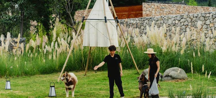 丽江瑞息·雪山樽|日照金山雪山全景MountianTrip度假汤池香氛酒店图片