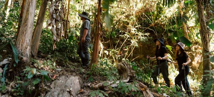 Mornery The Riverside图片