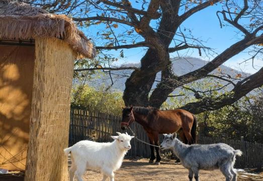 宏村塔川潦草·晓院外景图