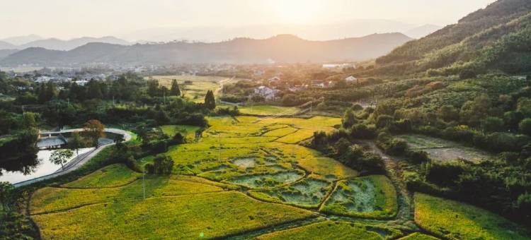杭州城西汤泉花间堂·见青山图片