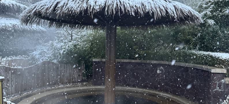 大连金石滩绿发温泉假日酒店图片