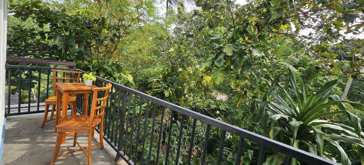 翠杏酒店(Green Almond Hotel)图片