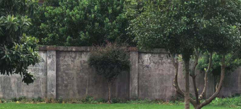 张家界溪畔民宿(天门山索道店)图片