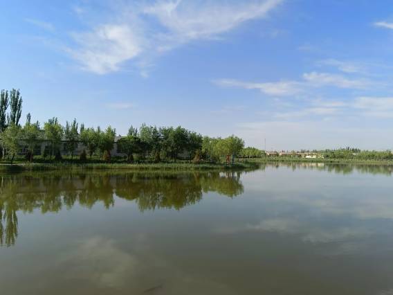 锦颐优选酒店(磴口店)图片