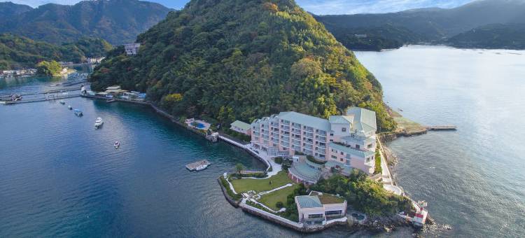 淡岛酒店(Awashima Hotel)图片