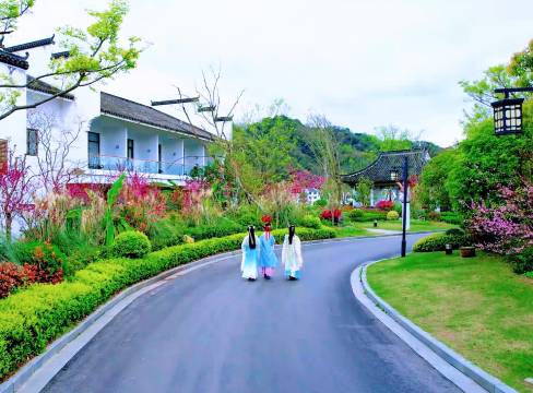 婺源探花·森氧秘境酒店图片