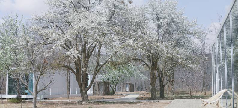 飞茑集民宿(中卫店)图片