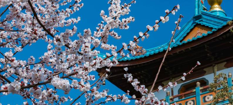 中吴宾馆·玖园图片