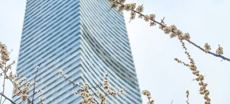 沈阳康莱德酒店图片