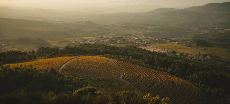 The Vinea Collection 酒店 由 Piamonte Hotels 提供(The Vinea Collection Hotel by Piamonte Hotels)图片