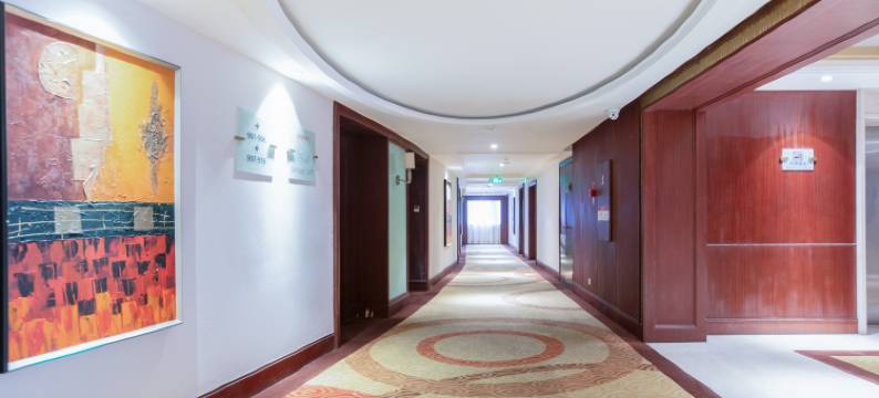 成都泰合国际大饭店(春熙路太古里店)图片